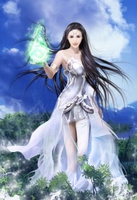 星河大统领